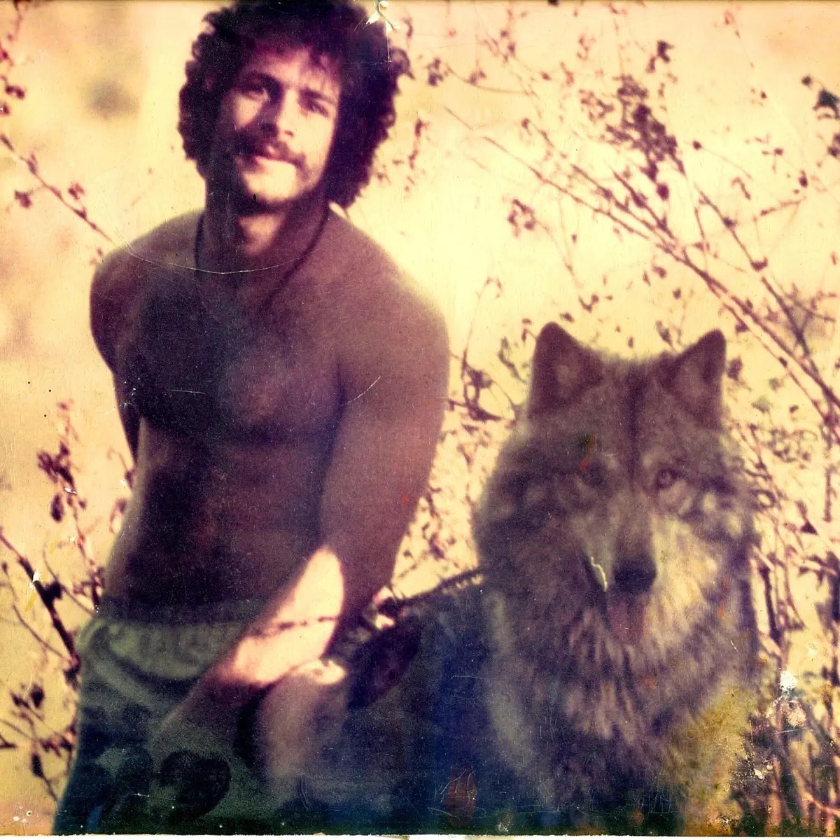 Wolf Dad